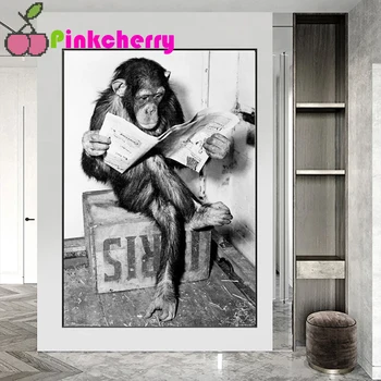 Забавни Животни Маймуна 5D САМ Квадратна Кръг Diamond Живопис Орангутан Чете Вестник Диамантена Бродерия подарък mosiac decor k323